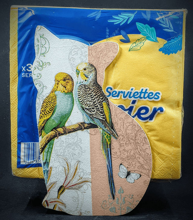 distributeur de serviettes