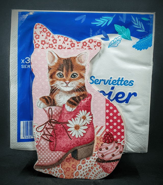 distributeur de serviettes