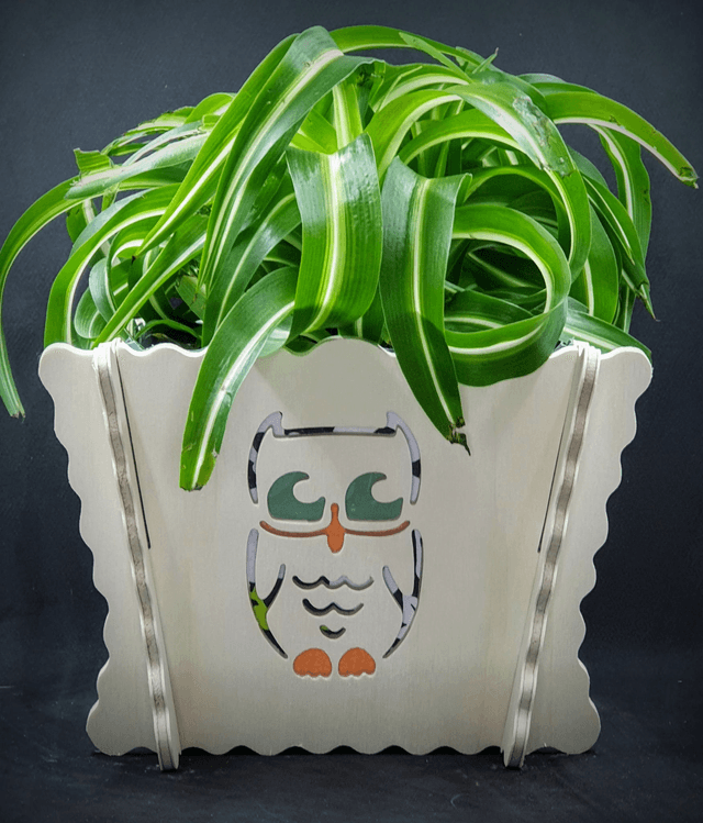 Cache-pot d'intérieur motif chouette