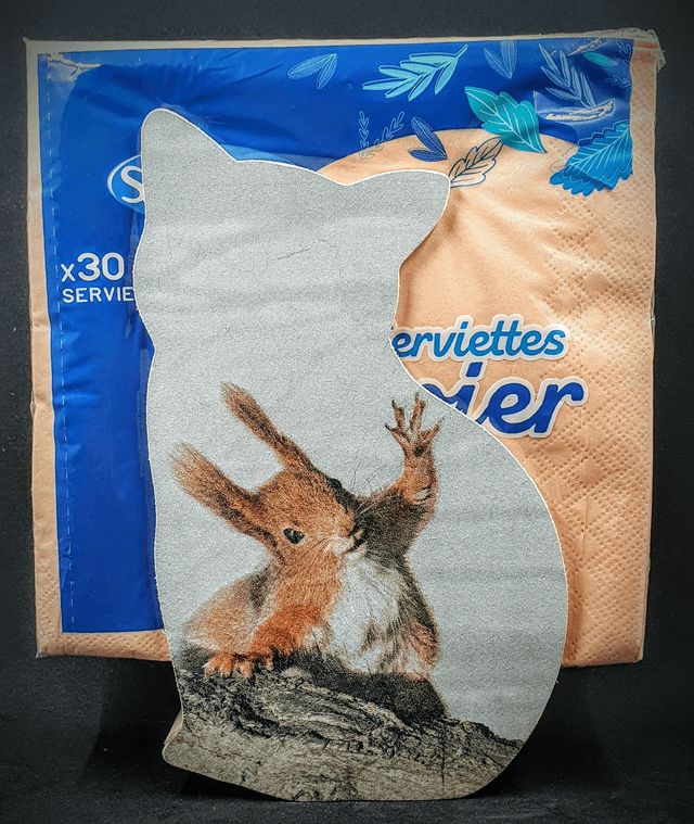 distributeur de serviettes