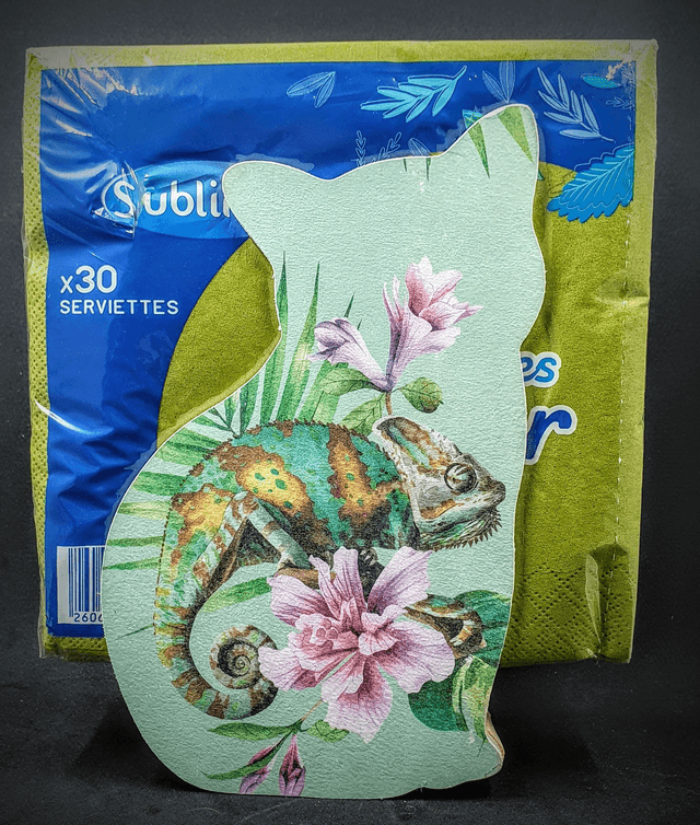 distributeur de serviettes