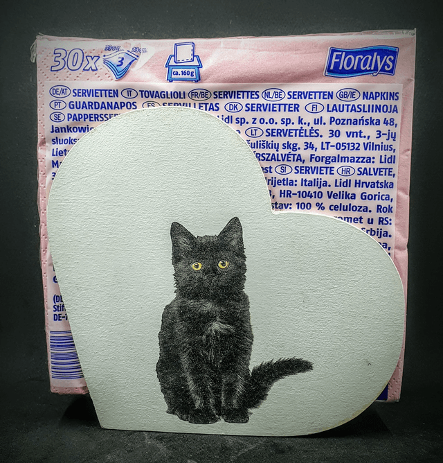 distributeur de serviettes