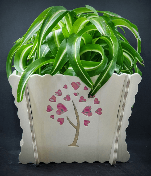 Cache-pot