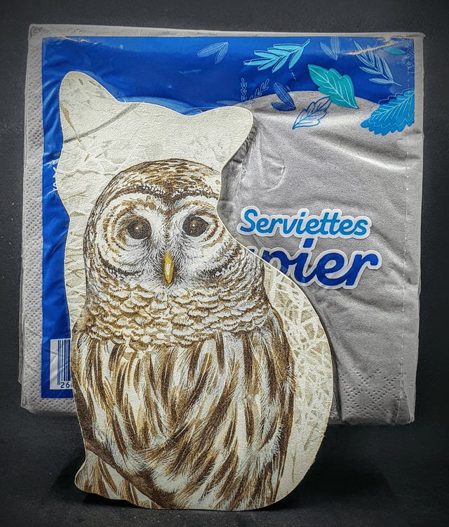 distributeur de serviettes