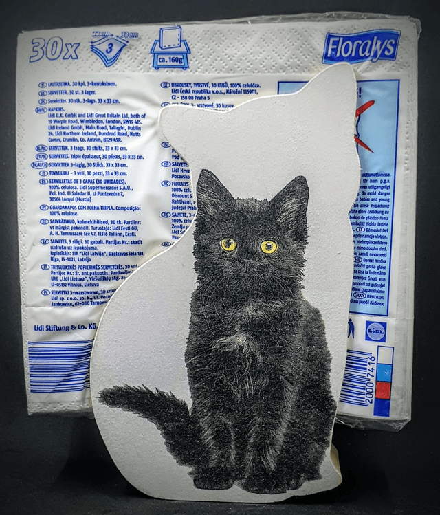distributeur de serviettes