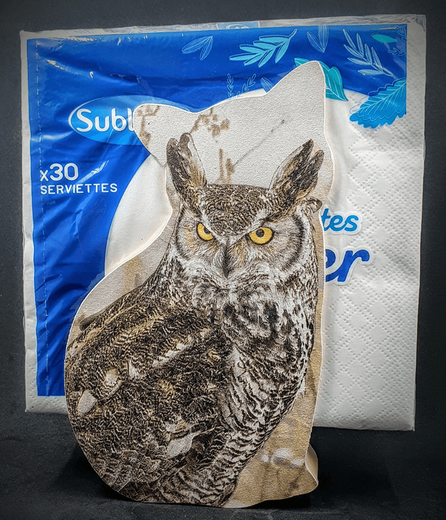 distributeur de serviettes 