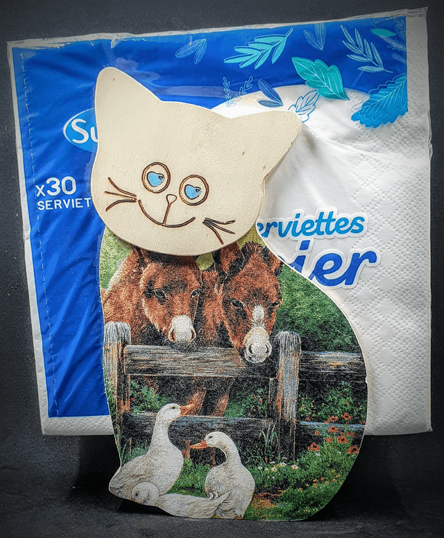 distributeur de serviettes