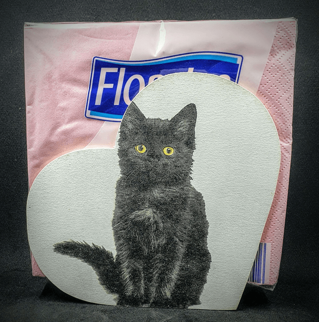 distributeur de serviettes