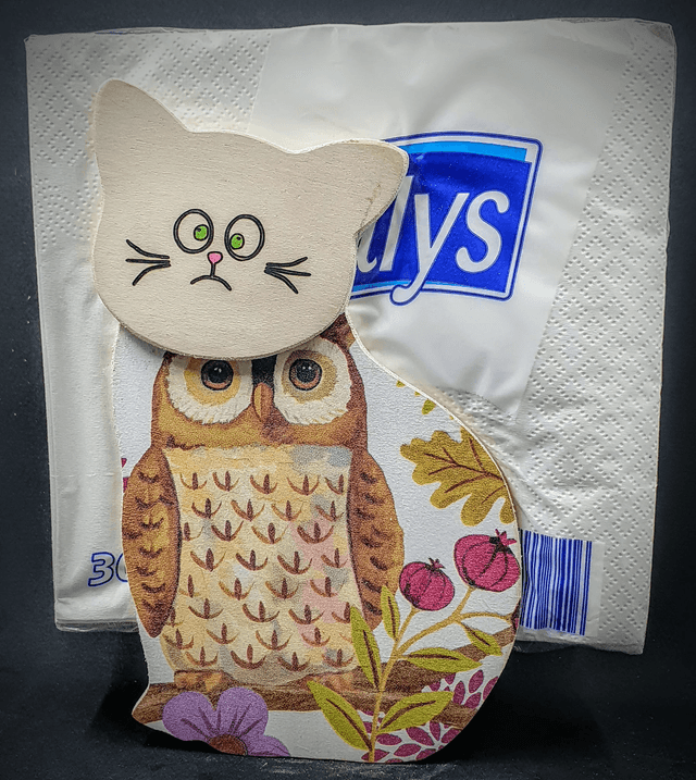 distributeur de serviettes