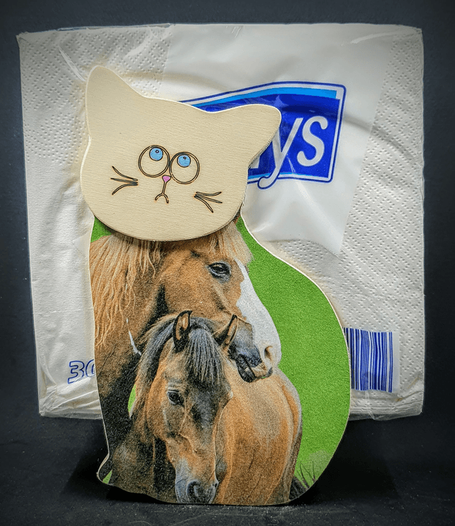 distributeur de serviettes
